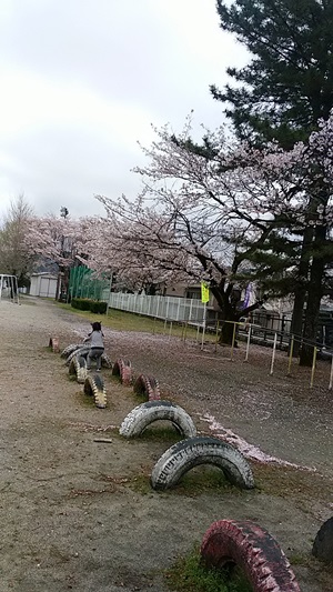 プチ便り(春休み③)_a0206870_1026428.jpg