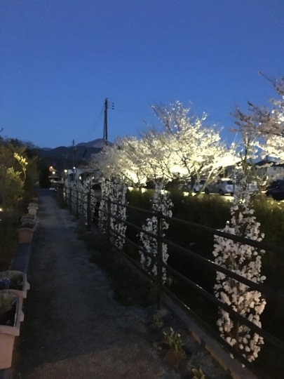 f0299870_14064149.jpeg