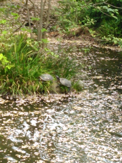 c0162773_11575683.jpg