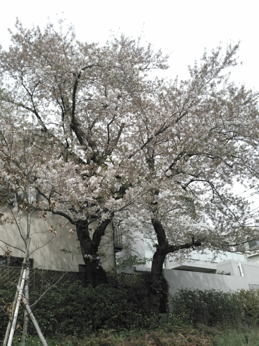 c0162773_11580992.jpg