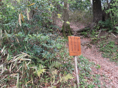 f0259373_18405719.jpg