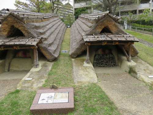 f0259373_19014712.jpg