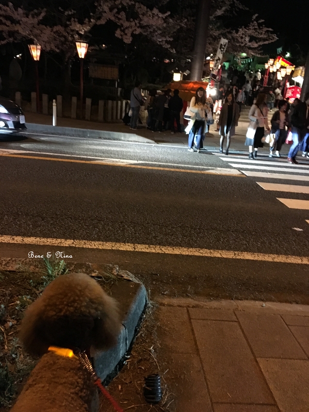c0283778_16352516.jpg