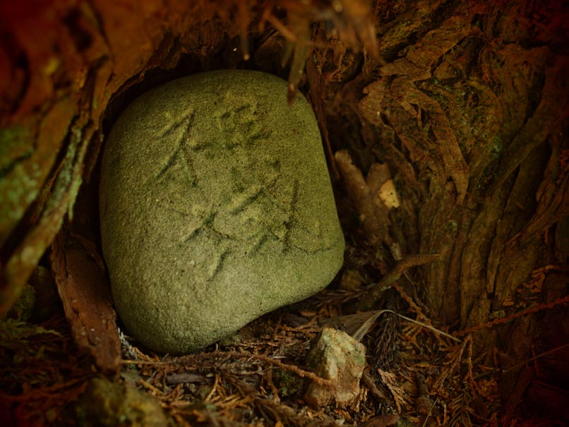 鞆渕八幡神社。_c0301679_2353040.jpg