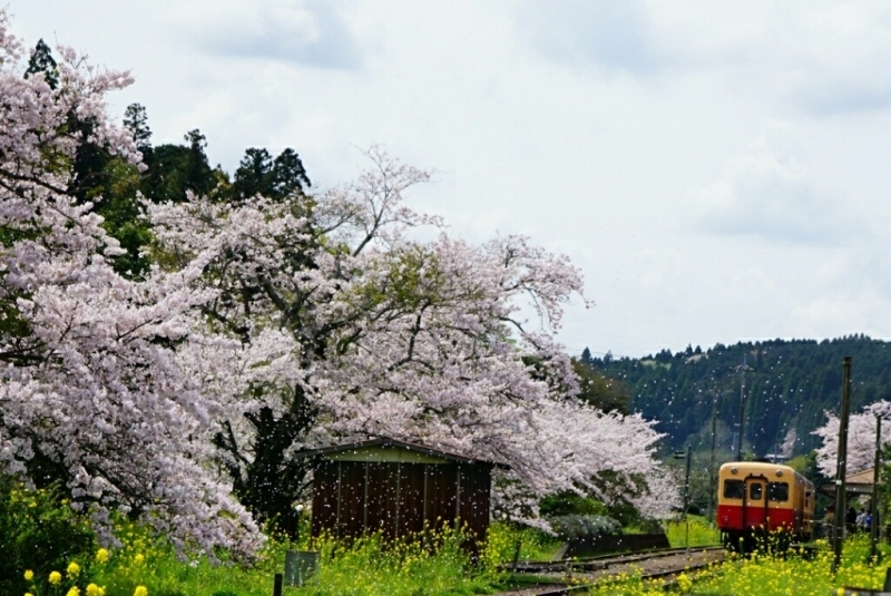 d0341483_08273660.jpg