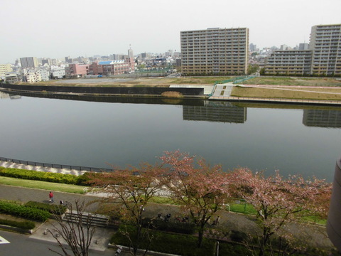 b0138985_1016958.jpg