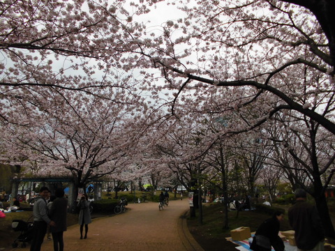 b0138985_9375442.jpg