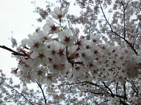 b0138985_9382117.jpg