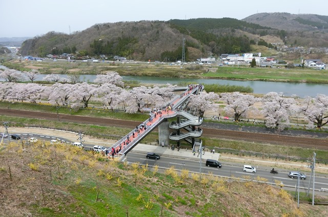 藤田八束の列車と桜の写真@船岡城址の桜、春爛漫列車との共演写真_d0181492_22571552.jpg