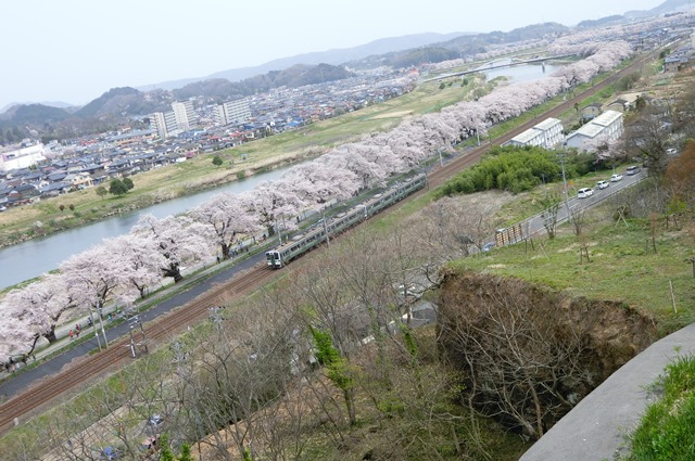 藤田八束の列車と桜の写真@船岡城址の桜、春爛漫列車との共演写真_d0181492_22581083.jpg