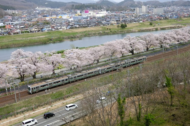 藤田八束の列車と桜の写真@船岡城址の桜、春爛漫列車との共演写真_d0181492_22582736.jpg