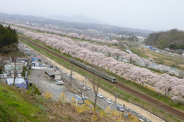 藤田八束の列車と桜の写真@船岡城址の桜、春爛漫列車との共演写真_d0181492_22585094.jpg