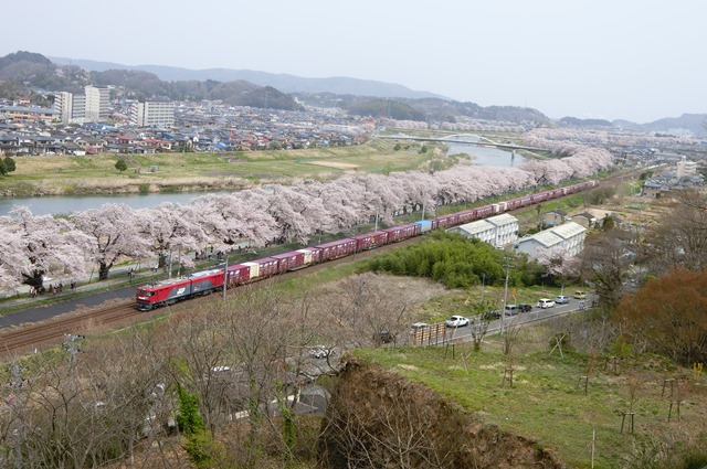 藤田八束の列車と桜の写真@船岡城址の桜、春爛漫列車との共演写真_d0181492_23182349.jpg