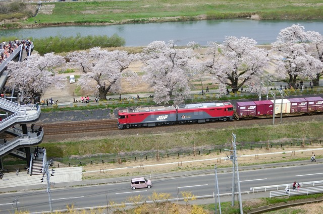 藤田八束の列車と桜の写真@船岡城址の桜、春爛漫列車との共演写真_d0181492_23184162.jpg