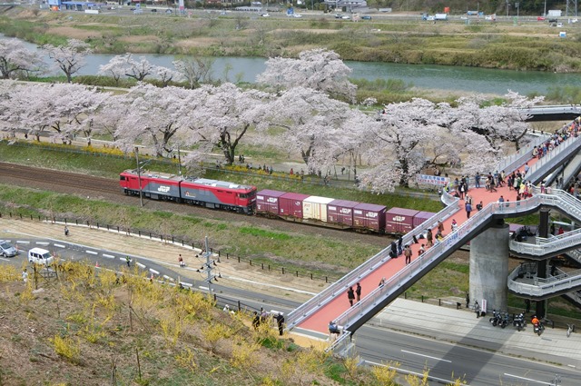 藤田八束の列車と桜の写真@船岡城址の桜、春爛漫列車との共演写真_d0181492_231903.jpg