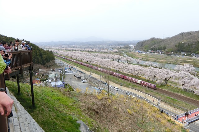 藤田八束の列車と桜の写真@船岡城址の桜、春爛漫列車との共演写真_d0181492_2320038.jpg