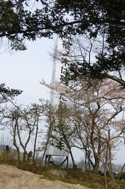 藤田八束の列車と桜の写真@船岡城址の桜、春爛漫列車との共演写真_d0181492_2383831.jpg