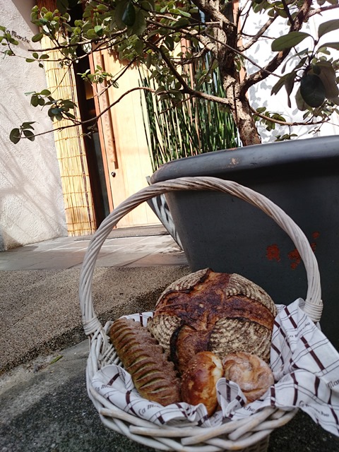 お散歩です_e0167593_0503927.jpg