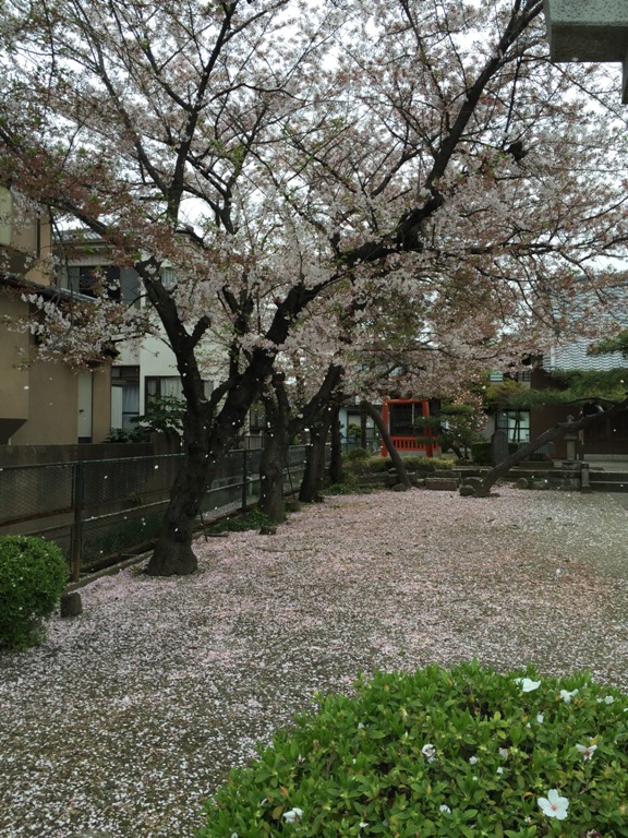 d0153294_1951159.jpg