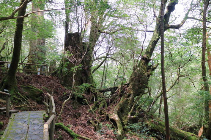 f0075595_02020740.jpg