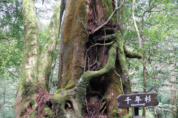 f0075595_02072106.jpg