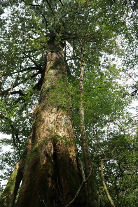 f0075595_02073780.jpg