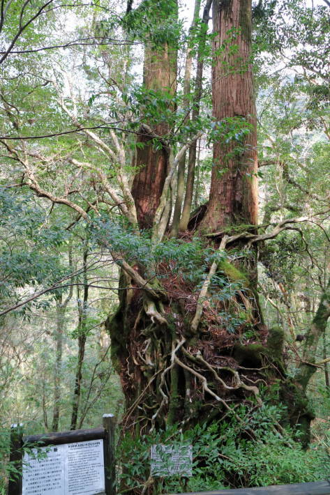 f0075595_02102587.jpg