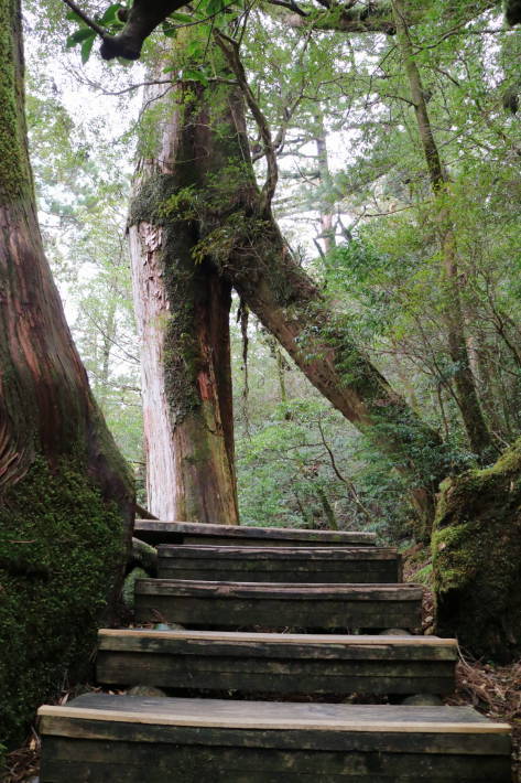 f0075595_02110108.jpg
