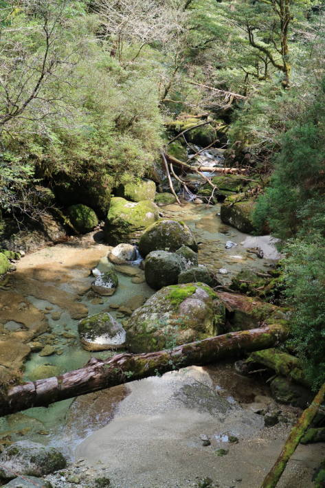 f0075595_02122880.jpg