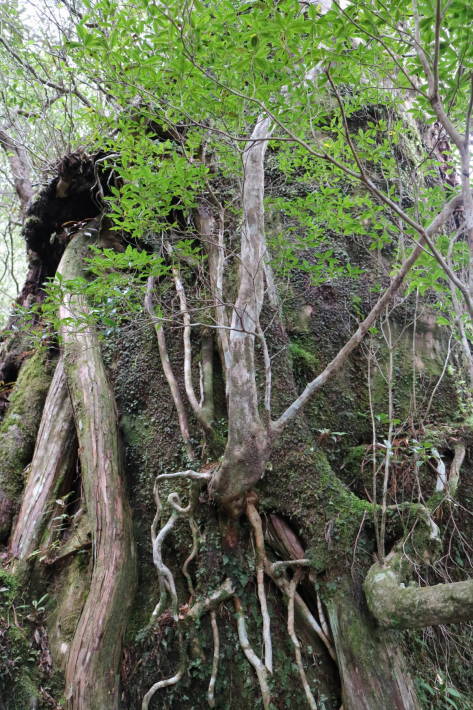 f0075595_02144352.jpg
