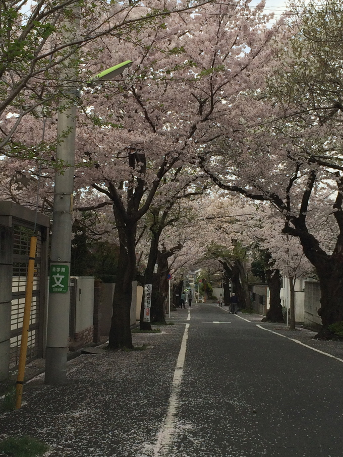 f0305995_17243.jpg