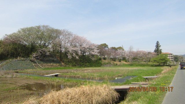 c0133096_14454500.jpg