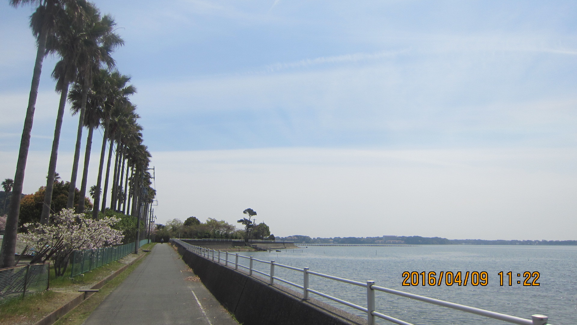 c0133096_17391801.jpg