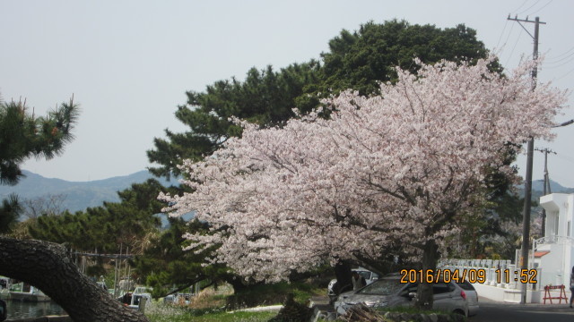 c0133096_17462826.jpg