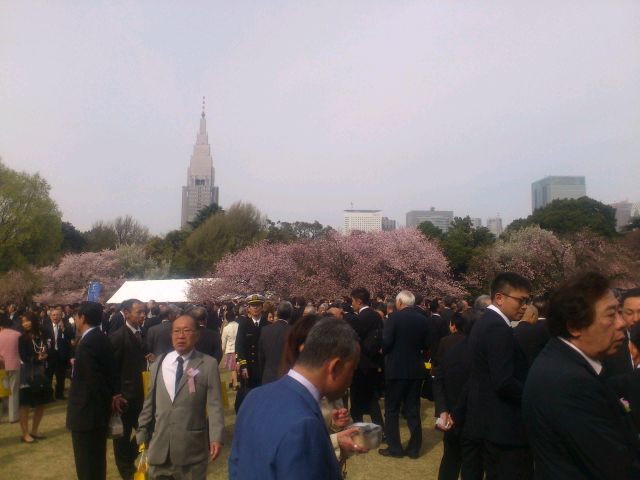 桜を見る会～新宿御苑～_e0317698_1085367.jpg