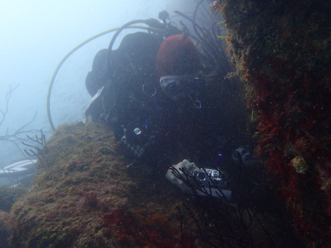 e0115199_19060685.jpg