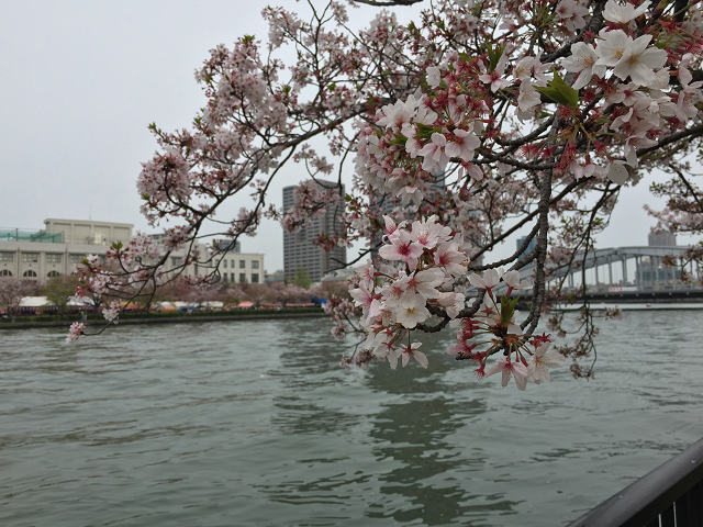 b0362900_2204480.jpg