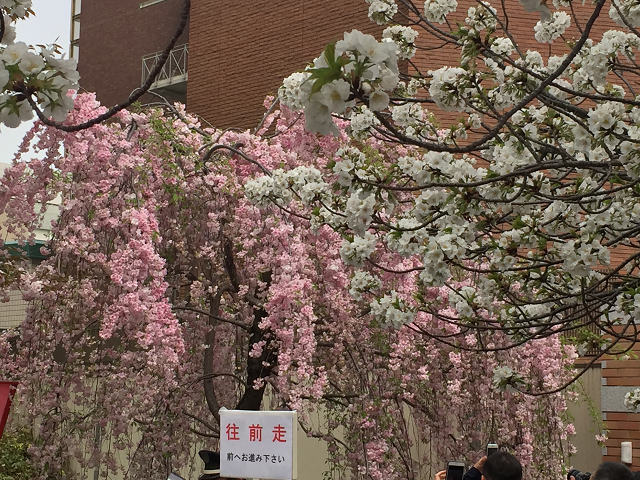 b0362900_2225226.jpg