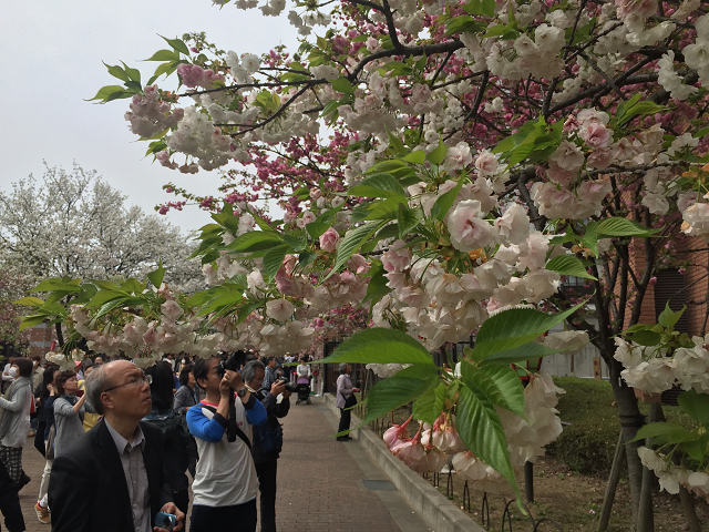 b0362900_2241190.jpg