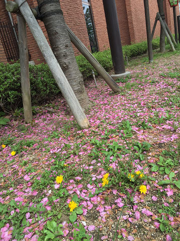 b0362900_225166.jpg
