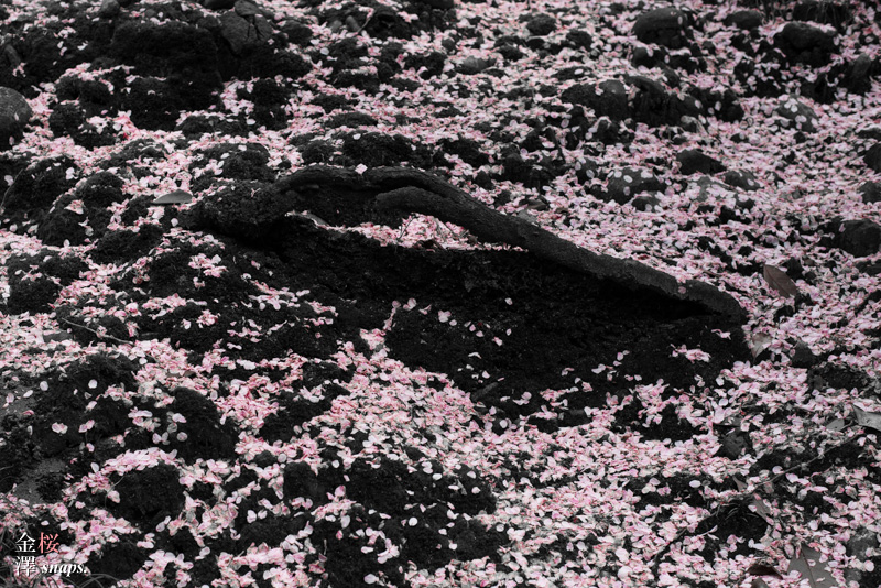 c0183700_2171363.jpg