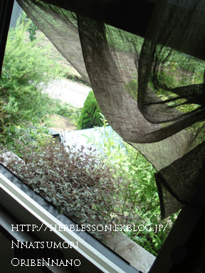 b0365901_19245125.gif