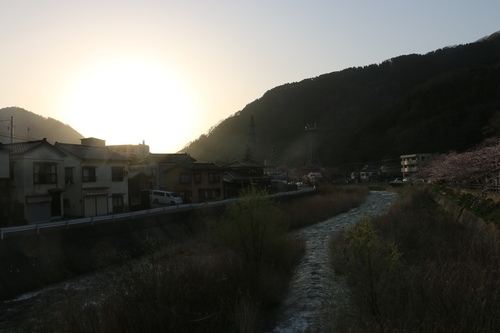 あつみ温泉，温海川河畔に咲くサクラ　・１_c0075701_20473236.jpg