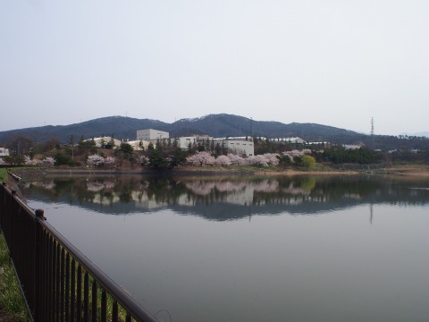 c0117007_8241051.jpg