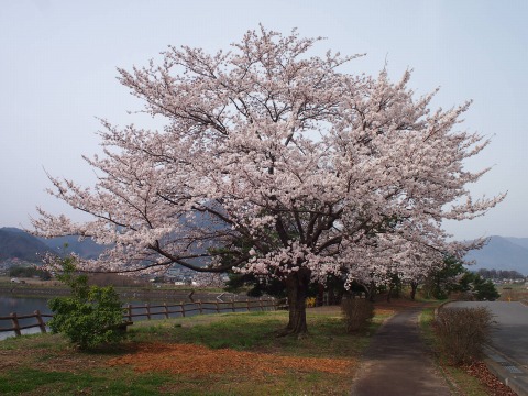 c0117007_8363036.jpg