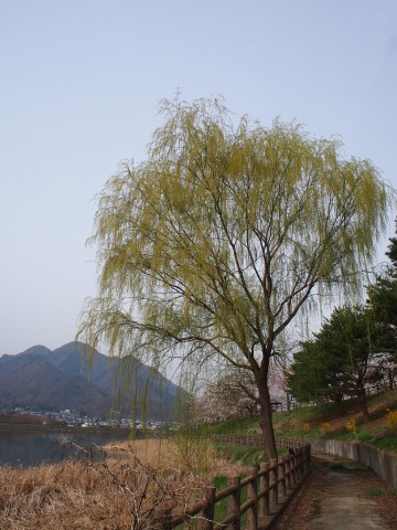 c0117007_8385827.jpg