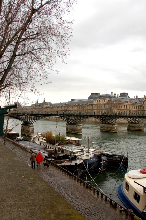 le Pont des Arts（芸術橋）の移り変わり_e0082110_17511299.jpg