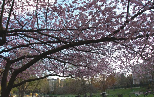 e0082110_212592.jpg