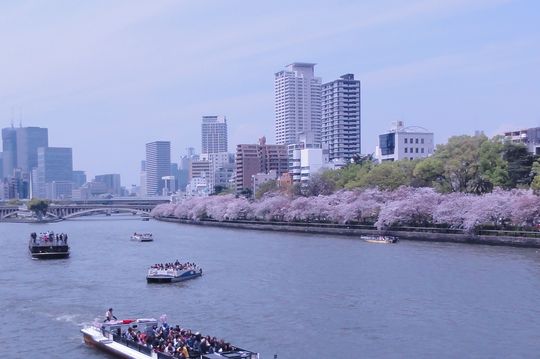 d0330311_5384178.jpg