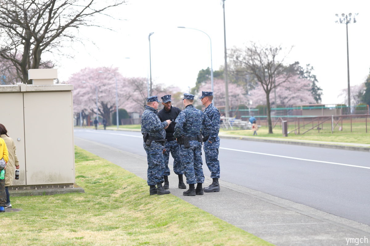 日米親善桜まつり・前編_f0157812_09540619.jpg